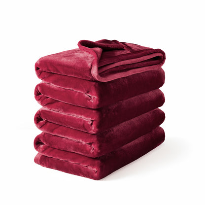 Extra Thick Hearty Plush Flannel Blanket