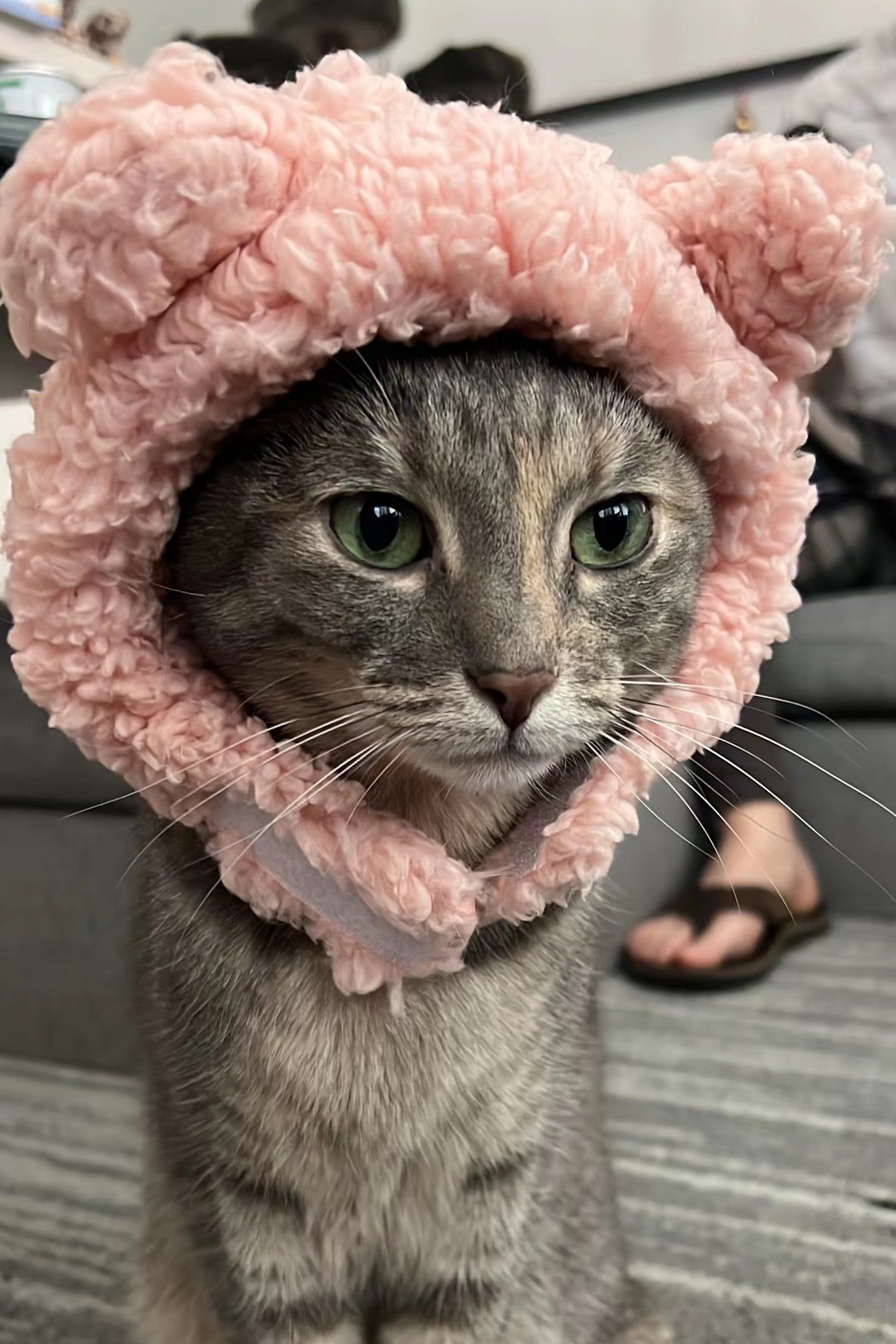 Cute Fluffy Bear Hat for Cat, Puppy, Small Pets 🐱🐶🐰 – Mellowdy
